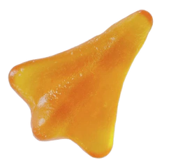 Richard's Session - Feb 2024