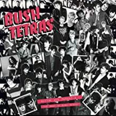 The Bush Tetras - Rhythm and Paranoia: The Best of Bush Tetras (2021)