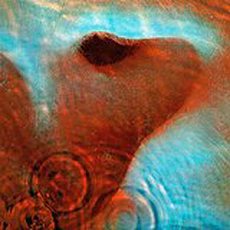 Pink Floyd - Meddle (1971)