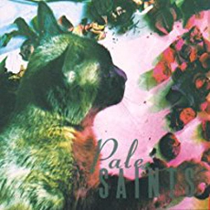 Pale Saints - The Comforts Of Madness (1990)