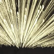 Faunts - High Expectations/Low Results (2005)