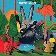 Wooden Shjips - V (2018)