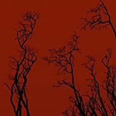 Jakob - Solace (2006)